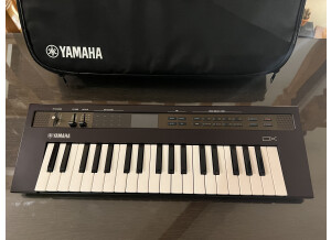 Yamaha Reface DX (243)