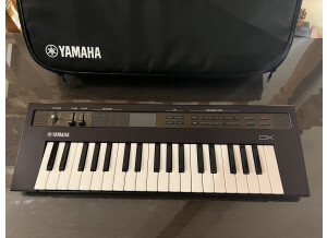 Yamaha Reface DX (243)