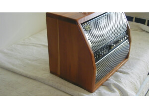 Trace Acoustic TA100R (64377)