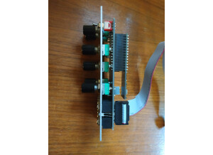 Noise Engineering Loquelic Iteritas (53275)