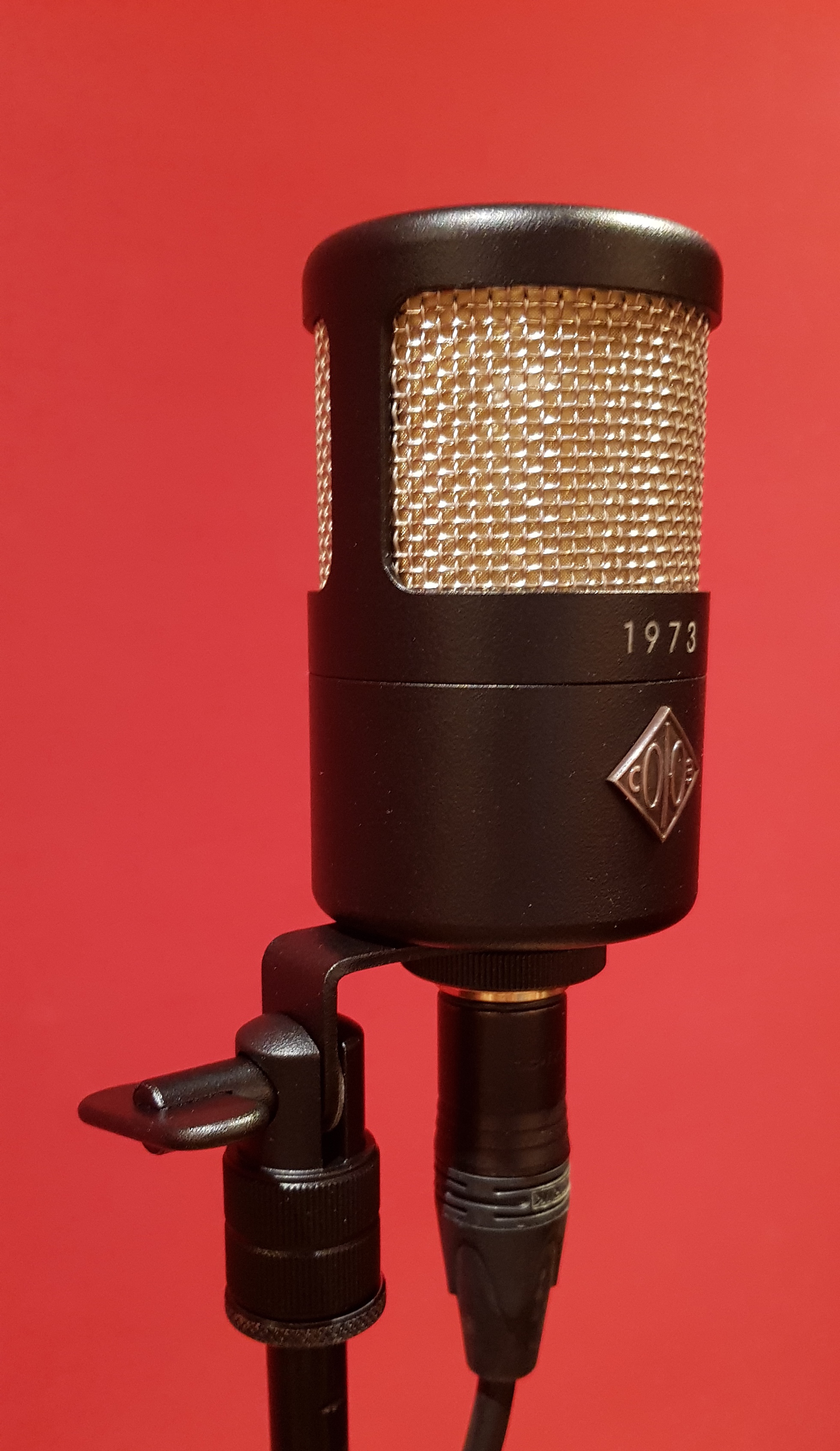 Soyuz 1973 : Soyuz 1973 Suspension