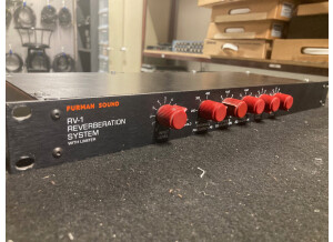 Furman RV-1 Reverberation System (29399)