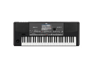 Korg Pa600