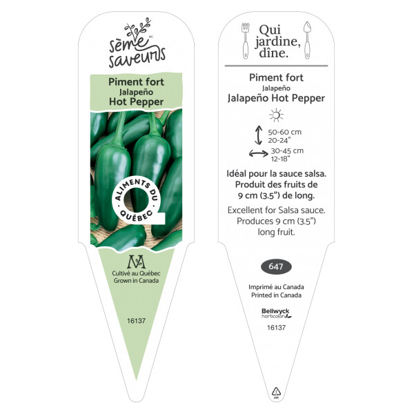 5572900.png 5572900.png