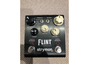 Strymon Flint (16957)