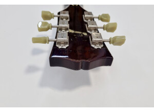 Gibson Slash Les Paul Standard 2008 (14287)