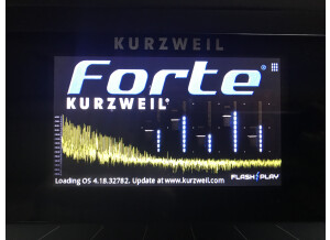 Kurzweil Forte (43880)
