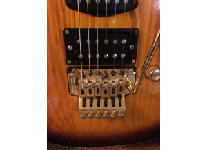 Valley Arts Guitars samick (42207)