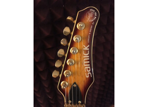 Valley Arts Guitars samick (41740)