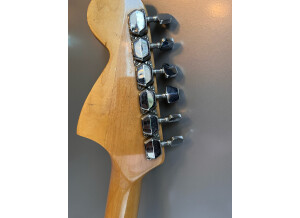 Ryan Guitars Stratocaster (65111)