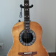 Custom Legend 1619 Custom Legend 1619
