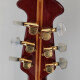 Custom Legend 1619 Custom Legend 1619