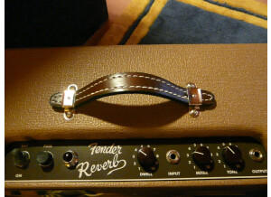 Fender Tube Reverb \'63 (3) redimensionner