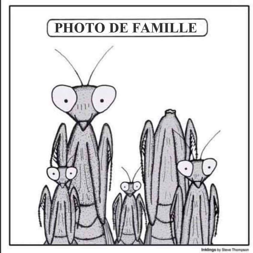 5576678.jpg 5576678.jpg