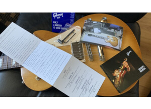 Gibson Les Paul Tribute 2018 (86670)