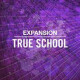 True School True School