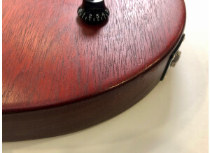 Gibson Les Paul Junior Faded (92997)