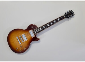 Gibson Les Paul Standard 7 String Limited (79717)