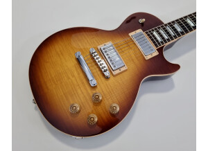 Gibson Les Paul Standard 7 String Limited (90921)