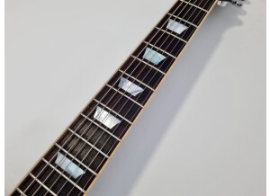 Gibson Les Paul Standard 7 String Limited (68350)