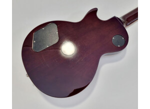 Gibson Les Paul Standard 7 String Limited