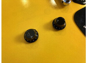 Gibson Les Paul Junior Single Cut (23203)