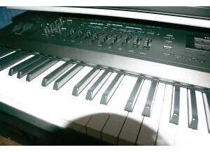 Roland Jupiter-80 (16928)