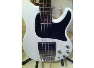 Ibanez ATK310 - White