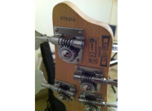 Ibanez ATK310 - White