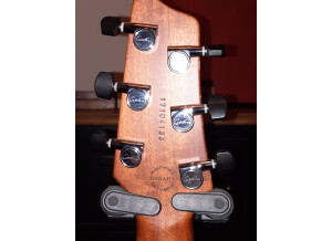 Godin A6 Ultra (1751)