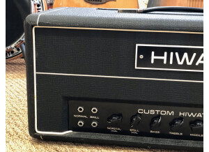 Hiwatt Custom 100 Head / DR-103 (34231)
