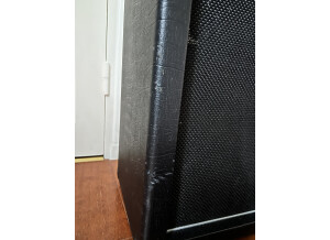 Randall RG50TC (51003)