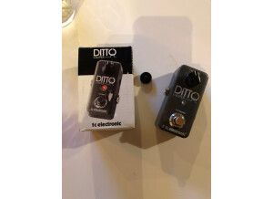 TC Electronic Ditto Looper (42276)
