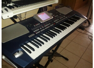 Korg Pa500 (82539)