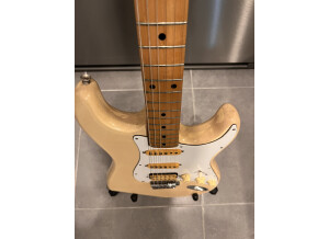 Ryan Guitars Stratocaster (61920)