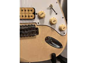 Ryan Guitars Stratocaster (44682)
