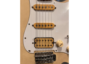 Ryan Guitars Stratocaster (49400)