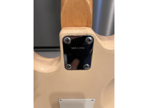 Ryan Guitars Stratocaster (91702)