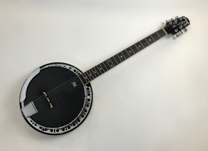 Epiphone Stagebird 6-String Electric Banjo (38865)