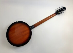 Epiphone Stagebird 6-String Electric Banjo (32935)