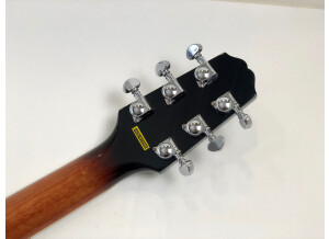 Epiphone Stagebird 6-String Electric Banjo (86329)