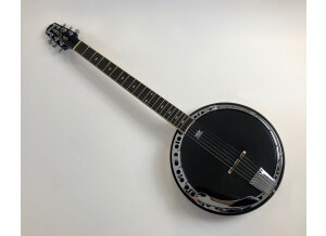 Epiphone Stagebird 6-String Electric Banjo (63710)