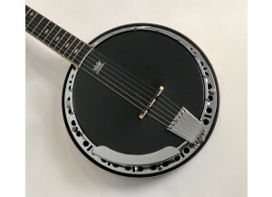 Epiphone Stagebird 6-String Electric Banjo (53763)