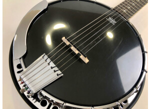 Epiphone Stagebird 6-String Electric Banjo (82762)
