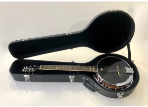 Epiphone Stagebird 6-String Electric Banjo (92401)