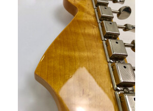 Fender JM66 (73289)