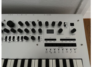 Korg Minilogue (21279)