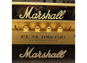 Marshall EL34 100/100