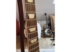 Gibson Original Les Paul Standard '50s (45813)