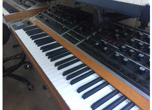 IMG 7735MOOG OPUS